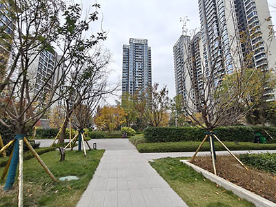 天府·星萃里楼盘相册欣赏