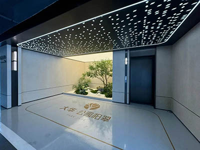 大华·公园柏翠楼盘相册欣赏