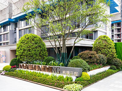 中环·桃源里楼盘相册欣赏